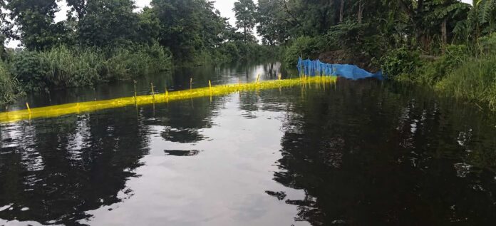 ड्रेनों में चिलवन से जलनिकासी बाधित, हजारों एकड़ फसल जलमग्न