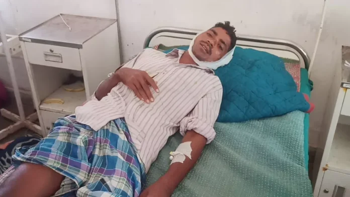 एक सप्ताह में कुत्ते ने 17 लोगों को काटकर किया घायल, क्षेत्र में दहशत